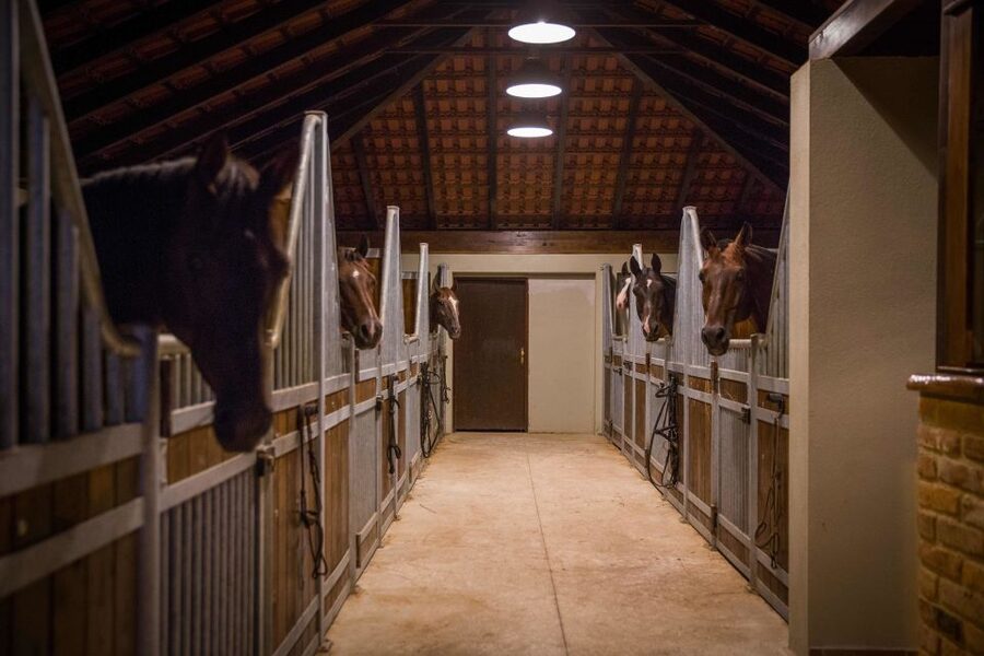 Dubrovnik Kojan Koral: Horseback Riding - Sandwich, local wine, and ranch time afterward