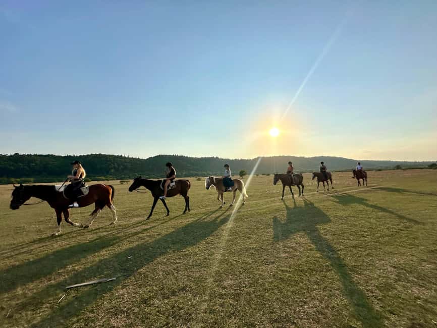 Dubrovnik: Sunset Horseback Ride with Transfers - Why Konavle is a fine place to ride