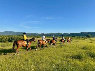 Dubrovnik: Sunset Horseback Ride with Transfers