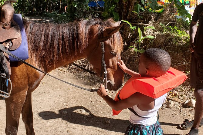 Dunn's River Falls Climb, Zipline and Horseback Riding Private Tour - The $295 price: convenience versus bargain value