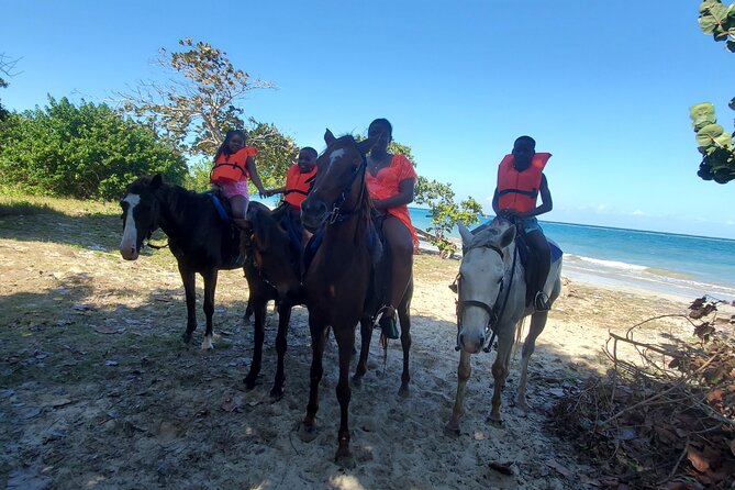 Dunn's River Falls Climb, Zipline and Horseback Riding Private Tour - Ziplining over the Jamaican canopy
