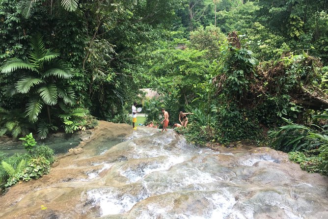 Dunn’s River Falls & Horse Back Riding Transportation Only - Starting Inside Ocho Rios Cruise Port