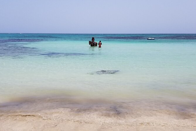 Dunn's River Falls, River Tubing, and Horseback Riding With Transportation - Should you book this Jamaica excursion?