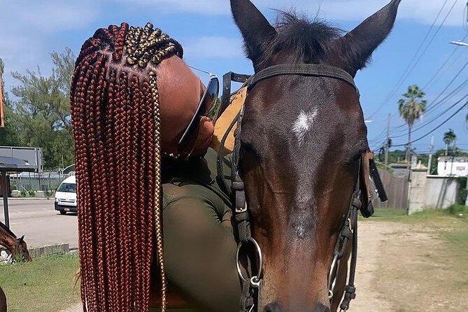 Dunn’s River Falls,Zip lining & horseback riding Combo tour from Montego Bay - Riding from rainforest to salt water