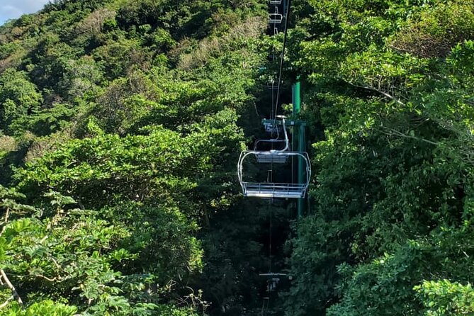 Dunn’s River Falls,Zip lining & horseback riding Combo tour from Montego Bay - Who should book this Jamaican adventure?