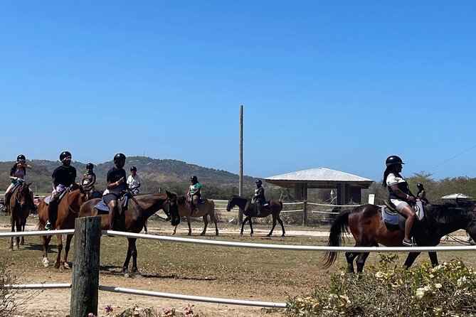 Dunns River Falls and horseback riding activity - Dunns River Falls: Climb, Swim, or Take It Easy