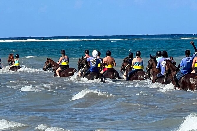 Dunns River Falls and horseback riding activity - Timing, Group Size, and Practical Comfort