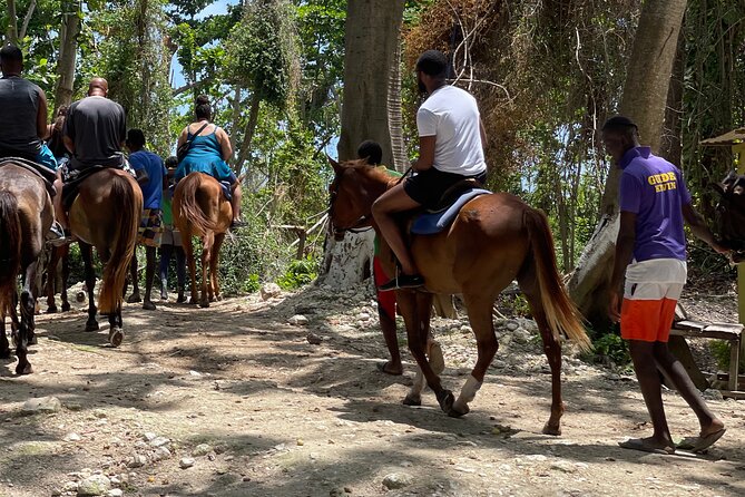 Dunns River Falls and horseback riding activity - Who Should Book This Jamaica Excursion?