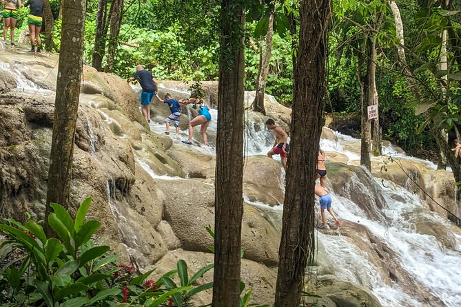 Dunns River Falls, Rafting, Zipline & Horseback from Montego Bay - What the $345 price really buys you
