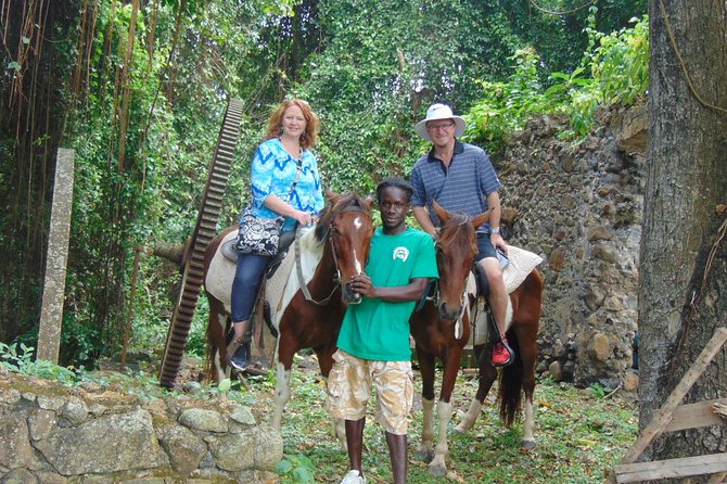East Coast Horseback Riding & Waterfall Excursion - Key points to know before booking