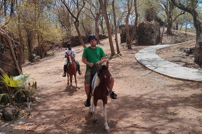 East Coast Horseback Riding & Waterfall Excursion - Dennery Falls, also called Sault or Errard Falls