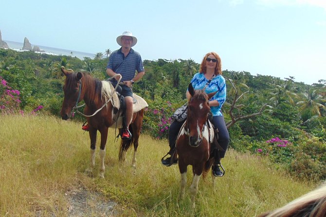 East Coast Horseback Riding & Waterfall Excursion - Booking details and cancellation