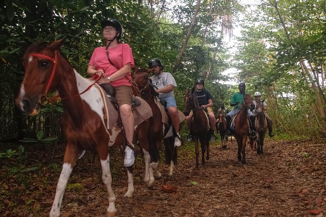 East Coast Horseback Riding & Waterfall Excursion - Fond d’Or Bay, ruins, and the Atlantic