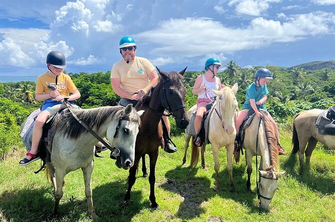 East Coast Horseback Riding, Waterfall & Soufriere Private Tour - The $240 Price and What You Get