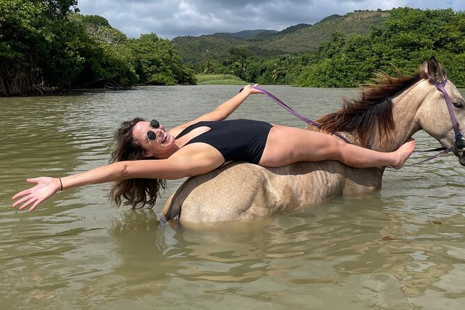 East Coast Horseback Riding, Waterfall & Soufriere Private Tour - Should You Book It?