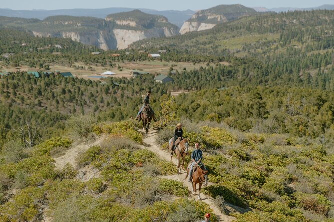 East Zion Pine Knoll Horseback Ride - Riding Through Desert, Forest, and Pine Knoll