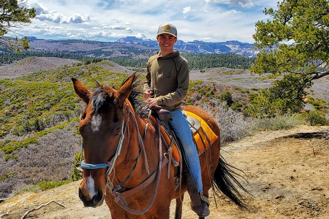East Zion Pine Knoll Horseback Ride - The Views Toward Zion, Cedar Breaks, and the Grand Canyon