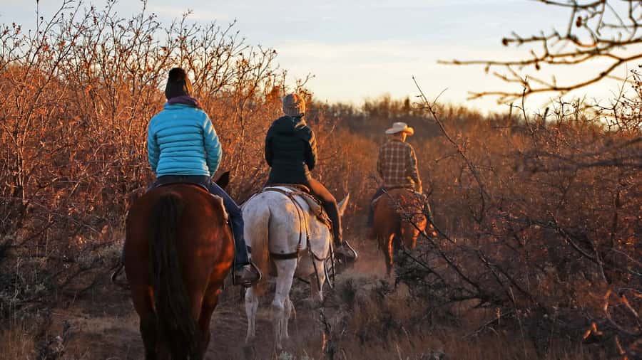 East Zion: Pine Knoll Horseback Tour - Key Things to Know Before You Book