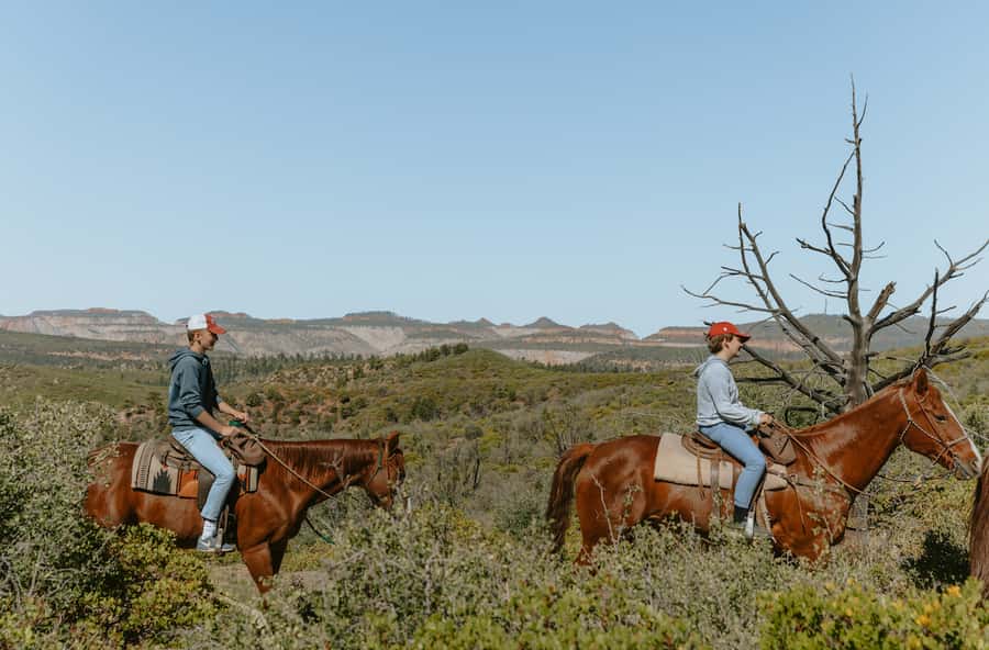 East Zion: Pine Knoll Horseback Tour - Meeting Your Horse and Learning the Basics