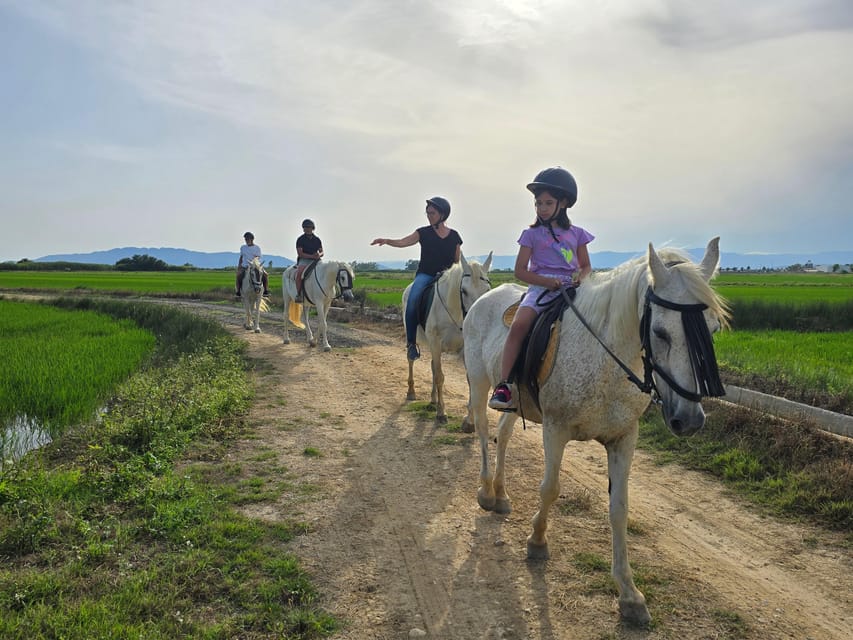 Ebro Delta National Park: Guided Horseback Riding Tour - Key points to know before you book