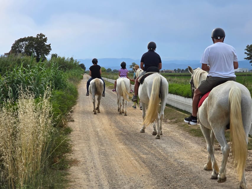 Ebro Delta National Park: Guided Horseback Riding Tour - A calm route through the rice fields