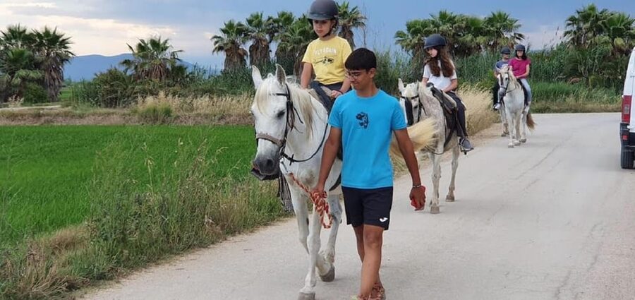 Ebro Delta National Park: Guided Horseback Riding Tour - What the rice-growing story adds