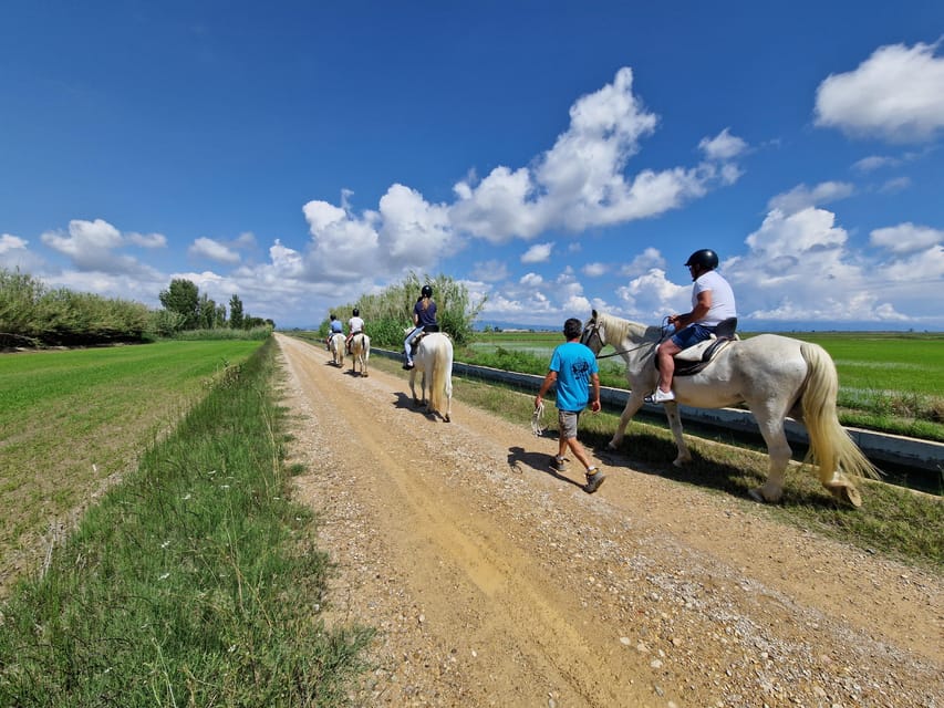 Ebro Delta National Park: Guided Horseback Riding Tour - Returning to Riumar after the ride
