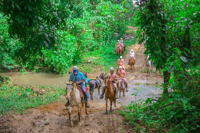 Eco Aventure Park+ Zipline+Horseback Ride+Buggy - Twenty-five minutes at Macao Beach