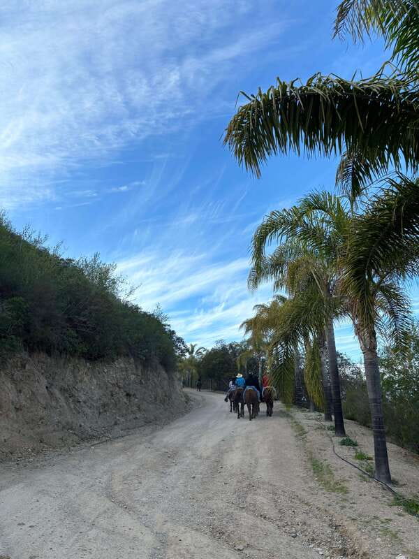 Eco Canyon Horseback Riding Excursion - Key points before you book