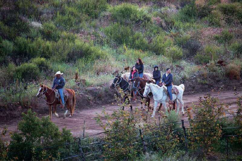 Eco Canyon Horseback Riding Excursion - How much value do you get for $40?