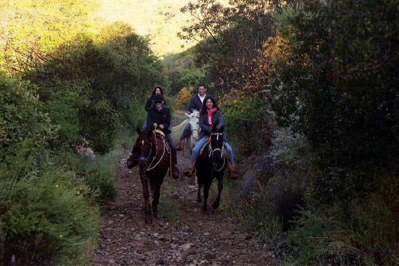 Eco Canyon Horseback Riding Excursion - Practical advice for a smoother outing