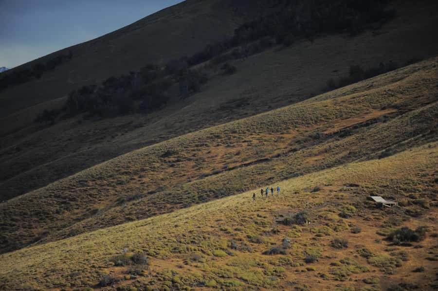 El Calafate: Horseback riding in Cerro Frias - The lenga forest descent