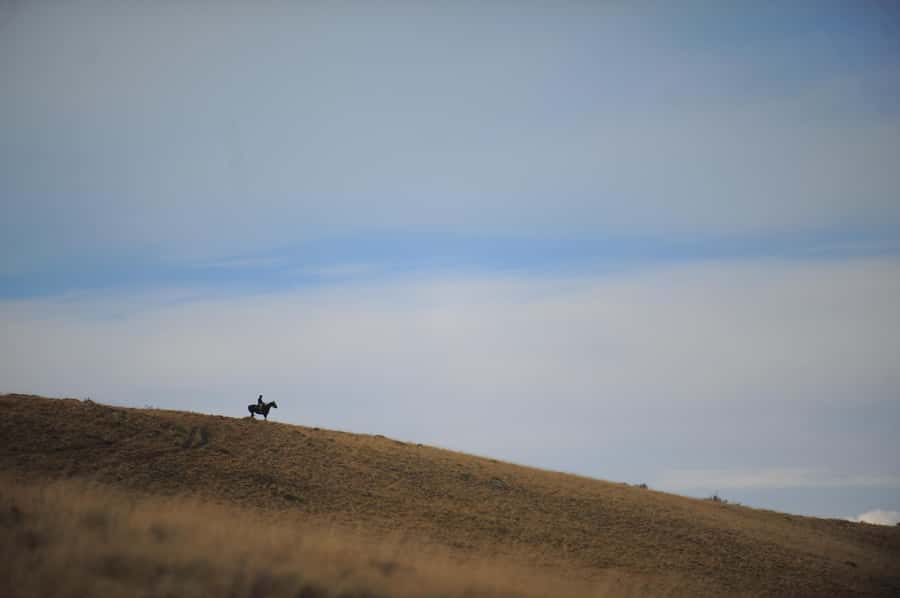 El Calafate: Horseback riding in Cerro Frias - How this compares with a more active ride