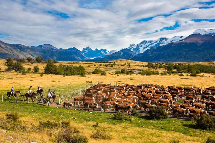 El Calafate: Nibepo Aike Ranch with Horseback Riding - Arriving at Nibepo Aike with Andes views