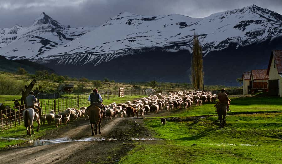 El Calafate: Nibepo Aike Ranch with Horseback Riding - The 45-minute horseback ride with a baqueano