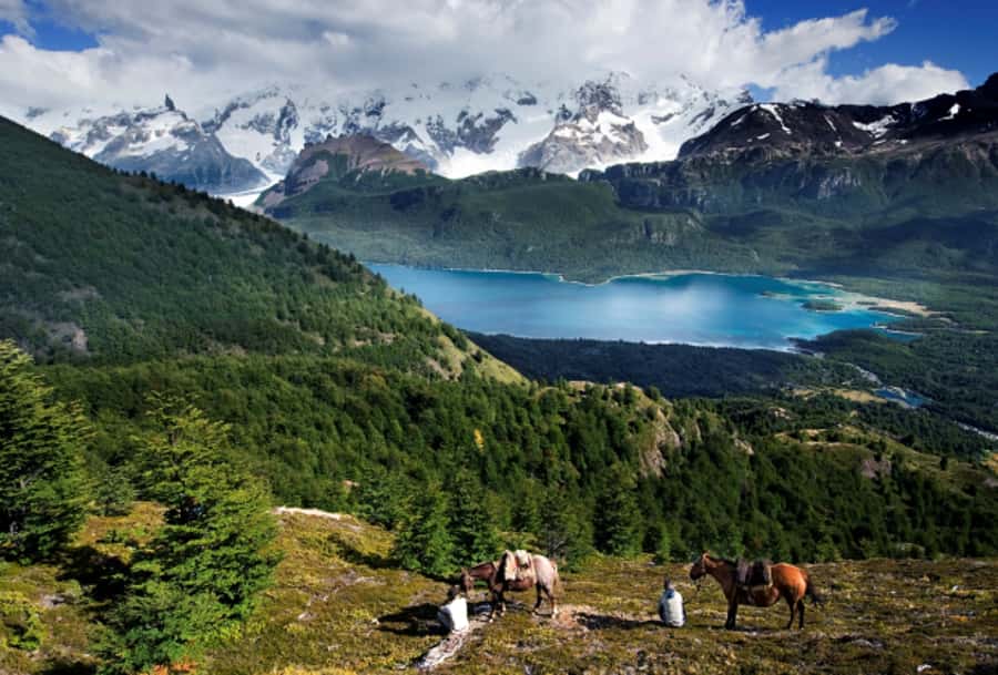 El Calafate: Nibepo Aike Ranch with Horseback Riding - Sheep, cattle, and the working side of the estancia