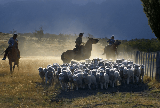 El Calafate: Nibepo Aike Ranch with Horseback Riding - Patagonian lamb and a long lunch in the quincho