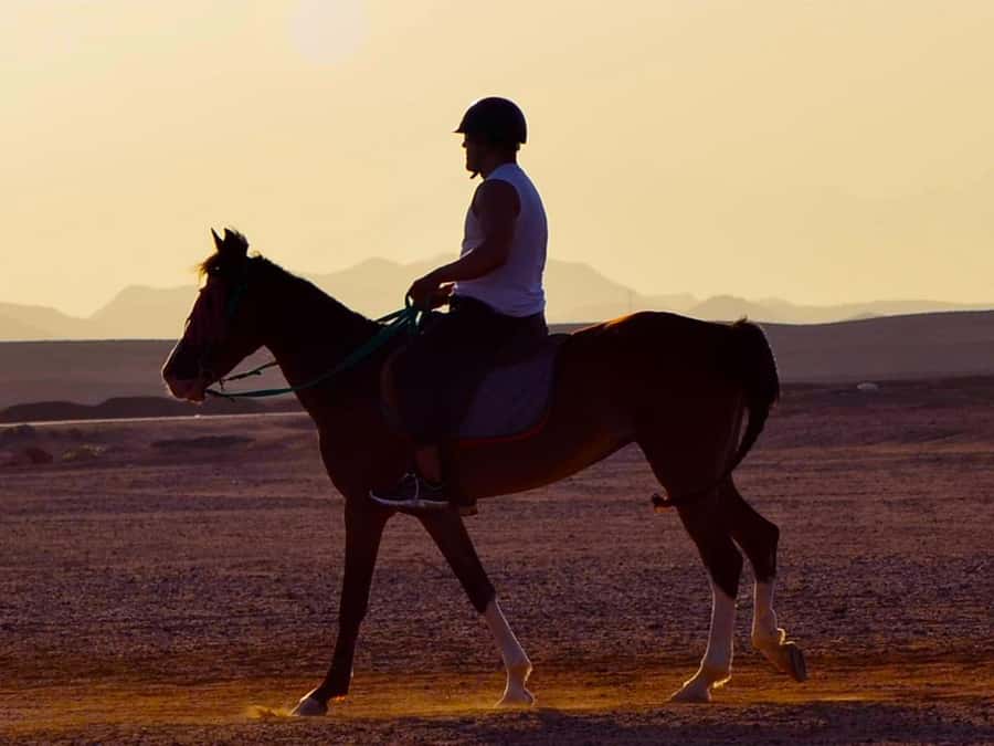 El Gouna: Desert & Sea Horse Riding With Swimming Optional - From hotel lobby to desert stable