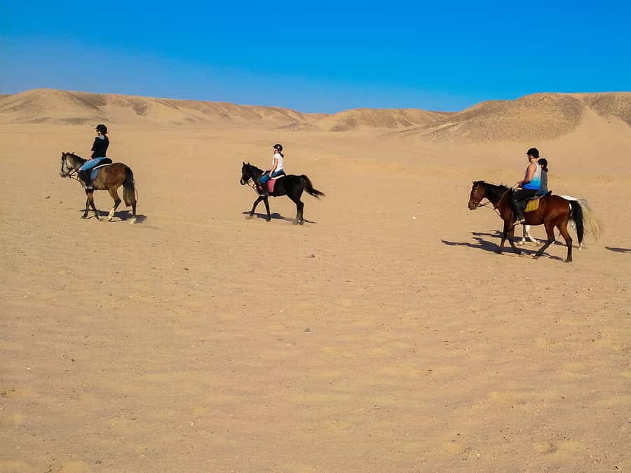 El Gouna: Desert & Sea Horse Riding With Swimming Optional - Swimming with your horse in the VIP option