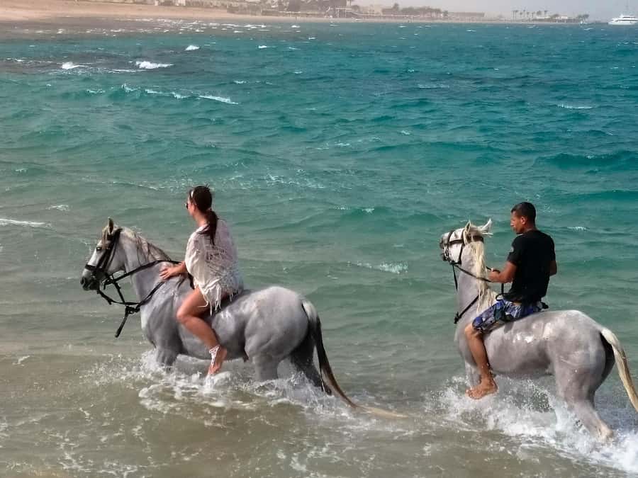 El Gouna: Desert & Sea Horse Riding With Swimming Optional - The quad bike and horse combination