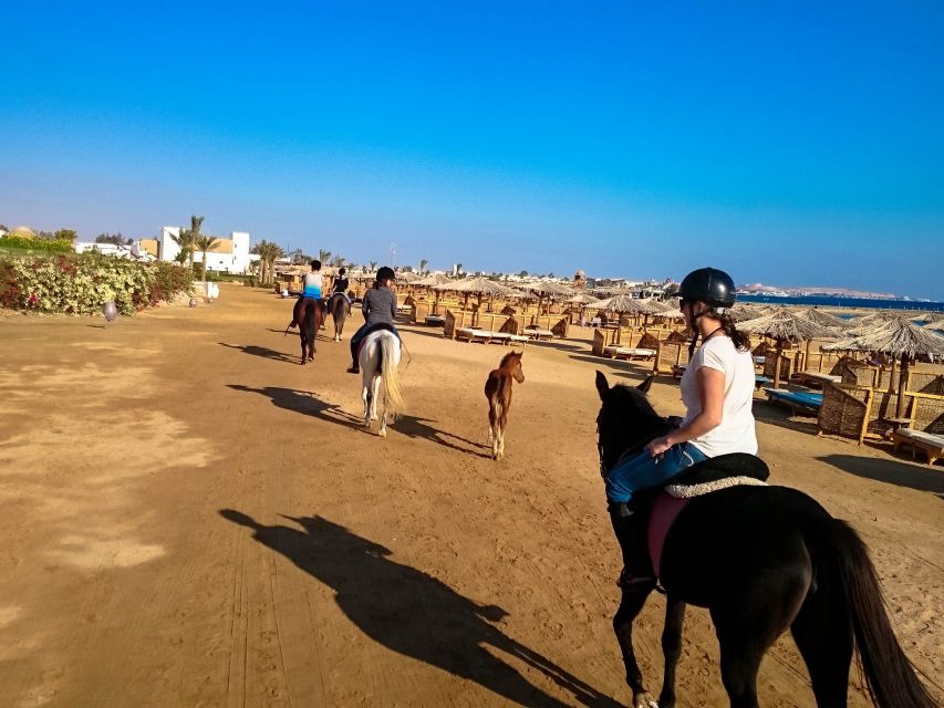El Gouna: Desert & Sea Horse Riding With Swimming Optional - How much value do you get for $26?