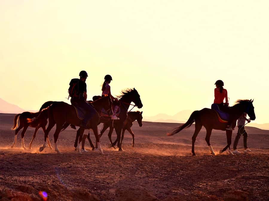 El Gouna: Desert & Sea Horse Riding With Swimming Optional - Meeting your horse and learning the basics