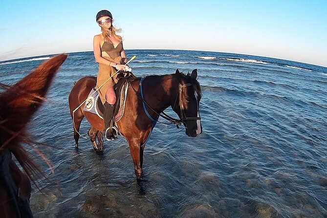 El Gouna Horse Ride Tour - Leaving Hurghada for the stable at 2:00 pm