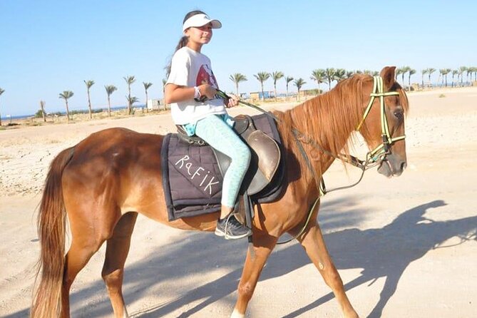 El Gouna Horse Ride Tour - Desert routes, forest paths, and Red Sea scenery