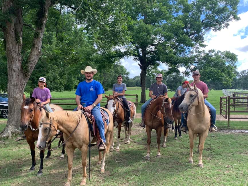El Limón: Waterfall Horseriding Tour with Lunch - Riding Through Samaná’s Tropical Forest
