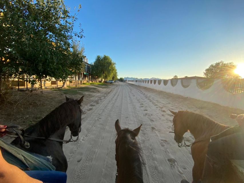El Rocío: Doñana National Park Horseback Riding Tour - Is $51 a fair price?