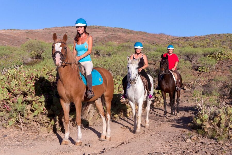 El Salobre: Horse Riding Adventure with Transfer Options - Key points to know before booking