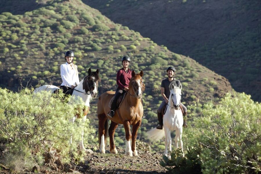 El Salobre: Horse Riding Adventure with Transfer Options - Arriving at the El Salobre ranch