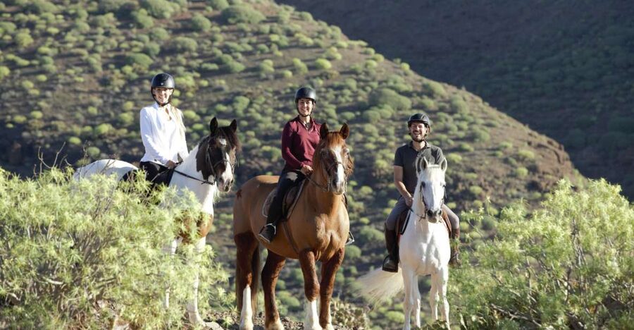 El Salobre: Horse Riding Adventure with Transfer Options - One-hour rides for first-time riders