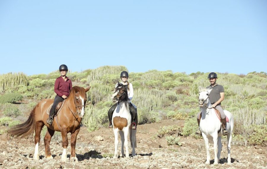 El Salobre: Horse Riding Adventure with Transfer Options - Volcanic views from the saddle